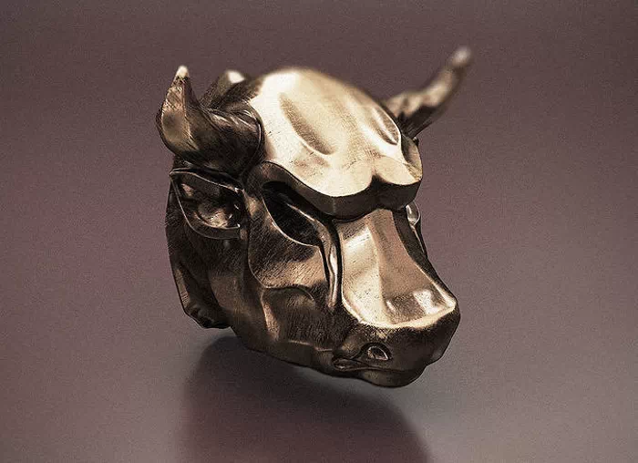 Bull head