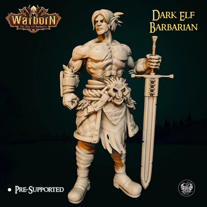 Dark Elf Barbarian