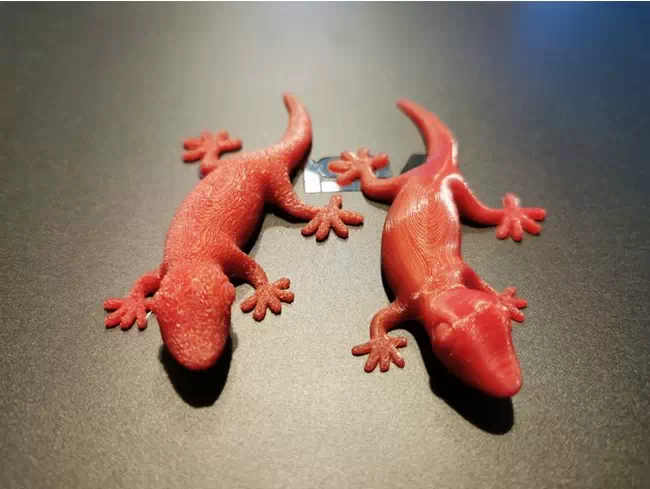 Gecko Magnet