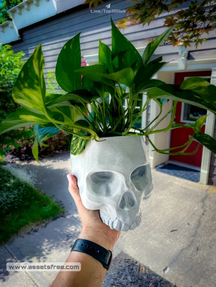 Hanging Skull Planter