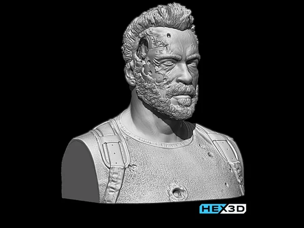 Hex3D - Arnie Dark Fate