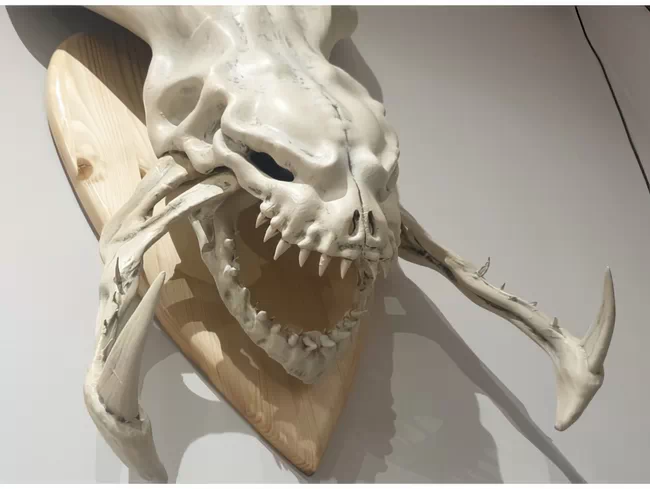 Hidralisk skull