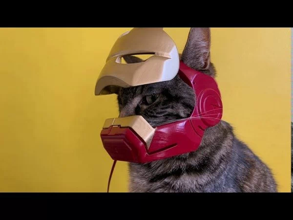 Ironman cat helmet