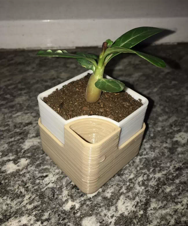 Self pot water rectangular