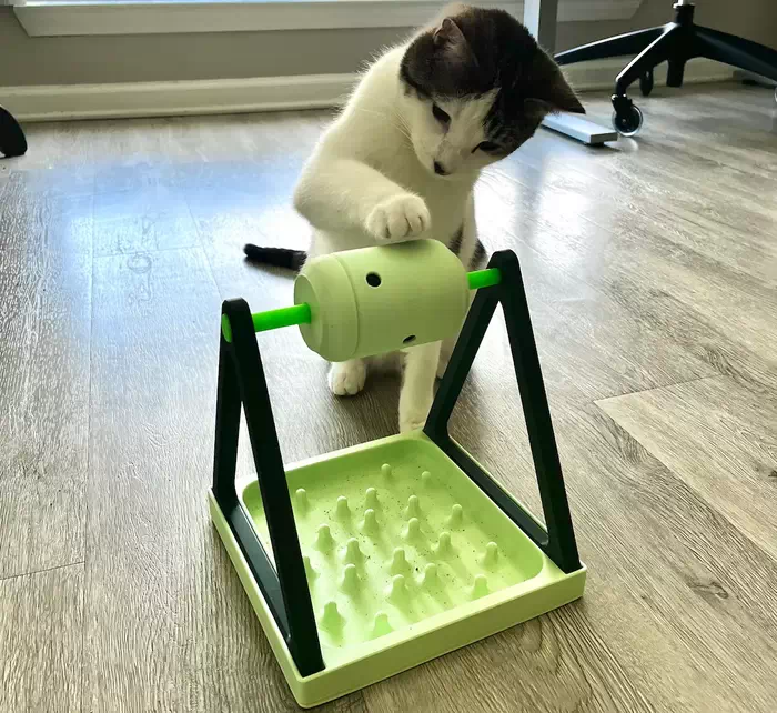 Cat Toy Treat Dispenser Puzzlenbsp‣ AssetsFreecom