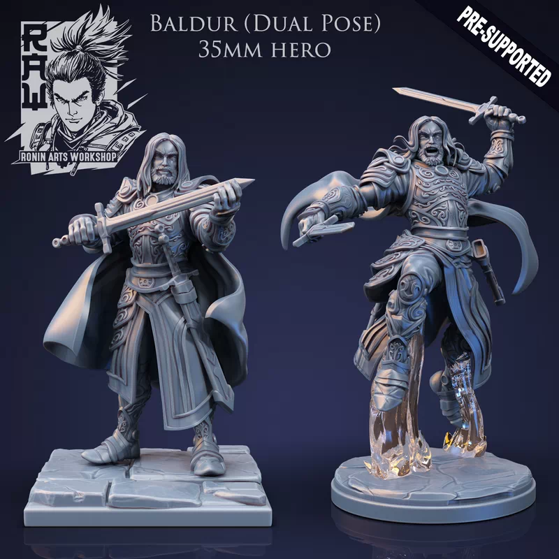 Baldur The Fighter - Idle and Action Pose