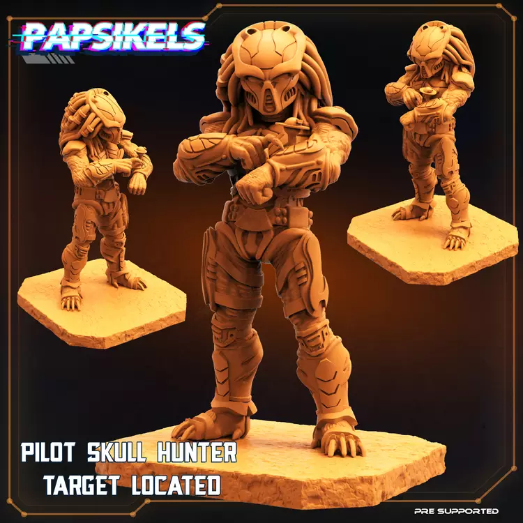 PILOT SKULL HUNTER TARGET LOCATED