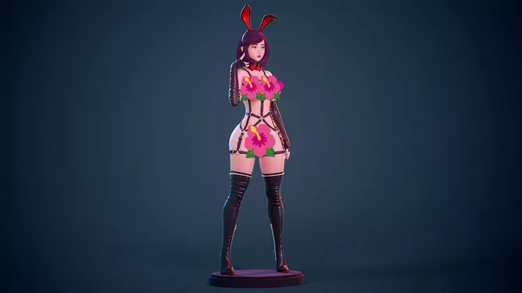 Bunny girl 3
