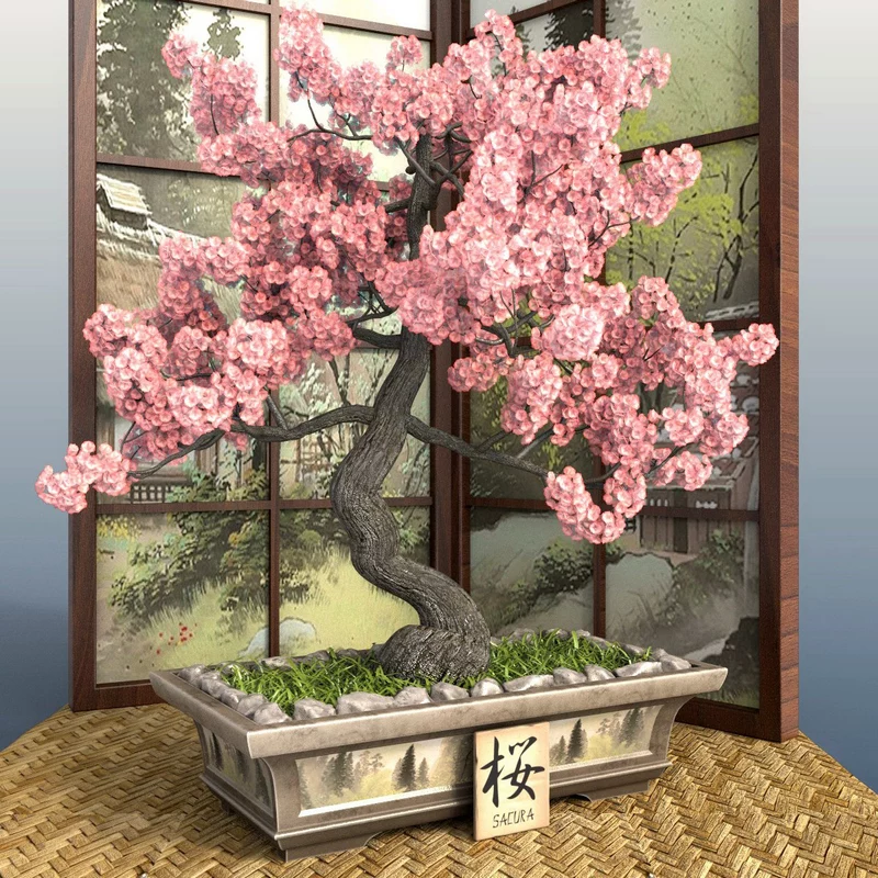 Bonsai - Sakura - Japanese art