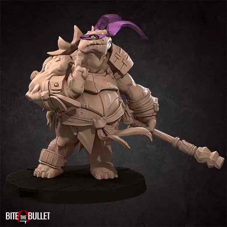 Ninja tortle purple