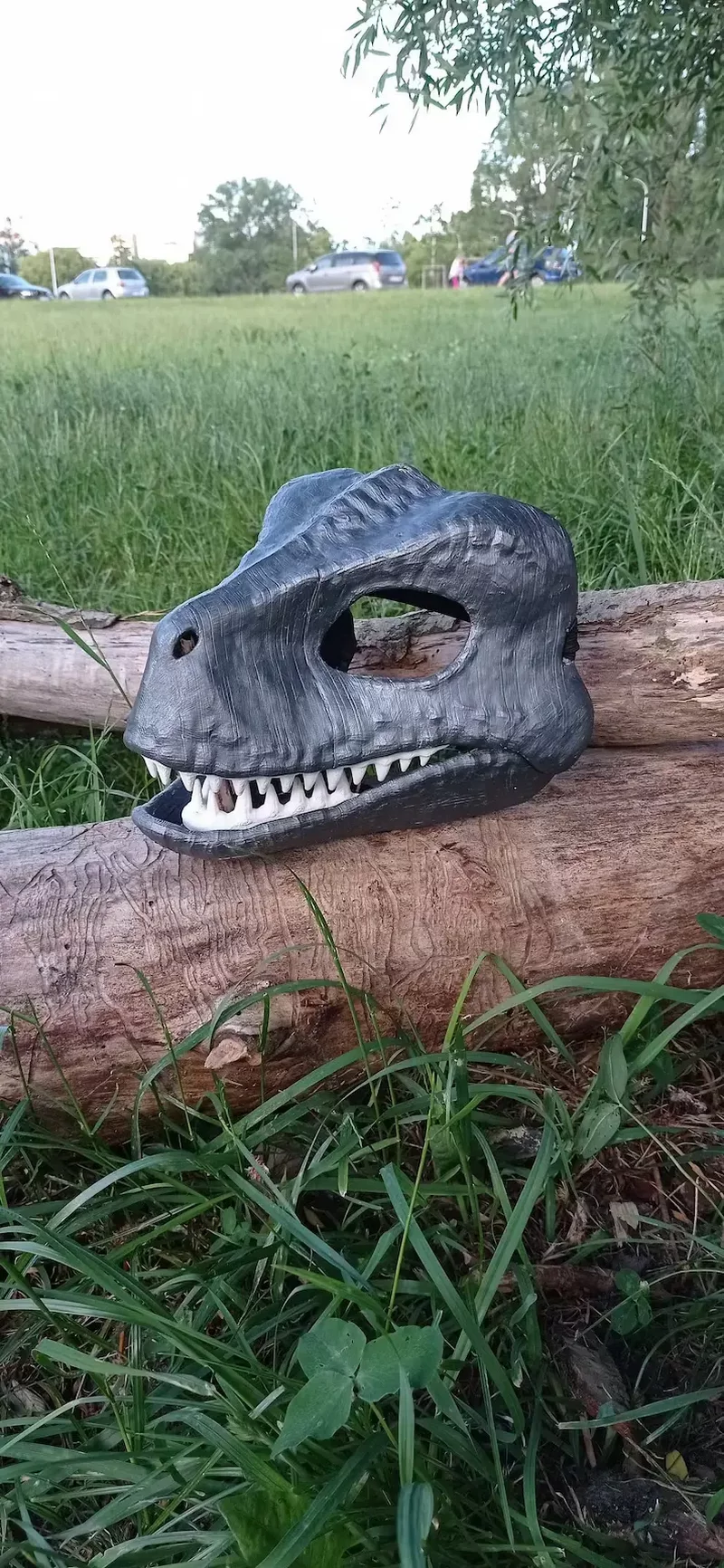 Raptor Mask