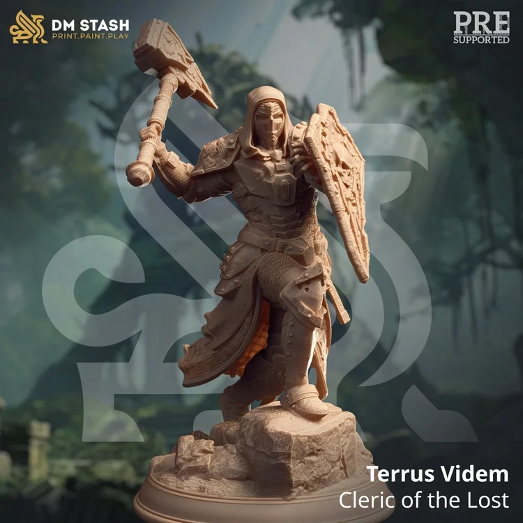 Terrus Videm - Cleric of the Lost