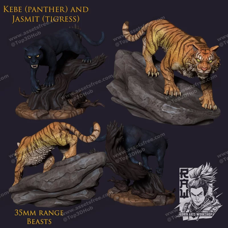 Kibe - Panther and Jasmit - Tigress