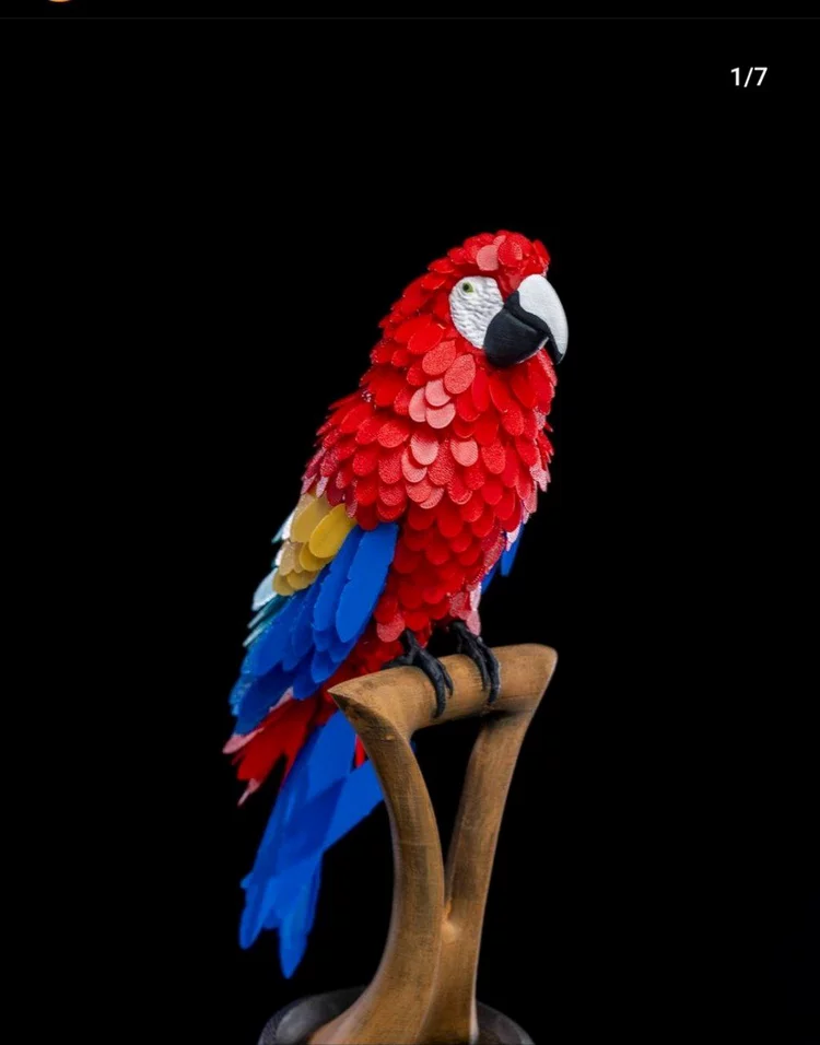 Macaw Feather Puzzle