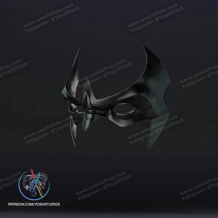 Nightwing Mask