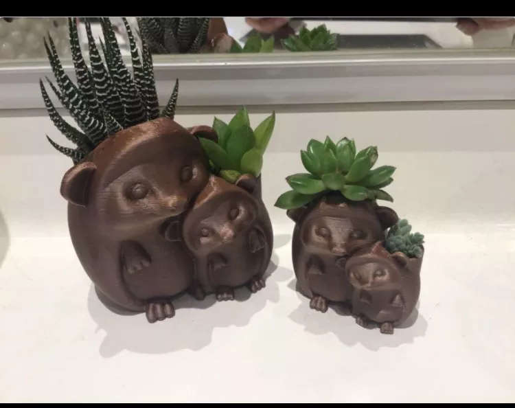 Hedgehogs planter