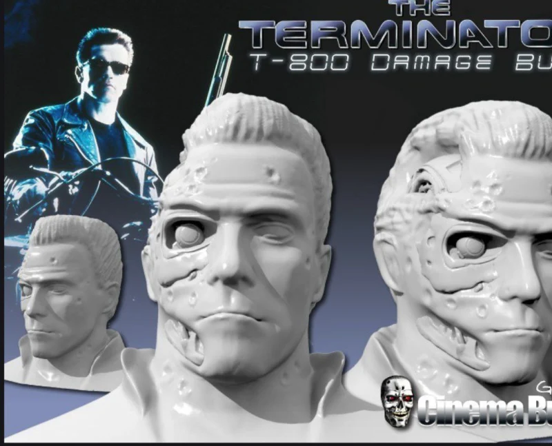 T-800 Damage Bust