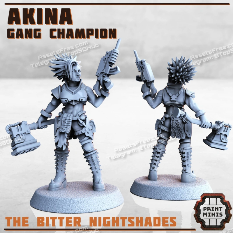 Akina - Gang Champion