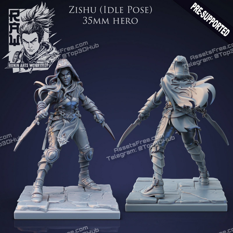 Zishu The Rogue