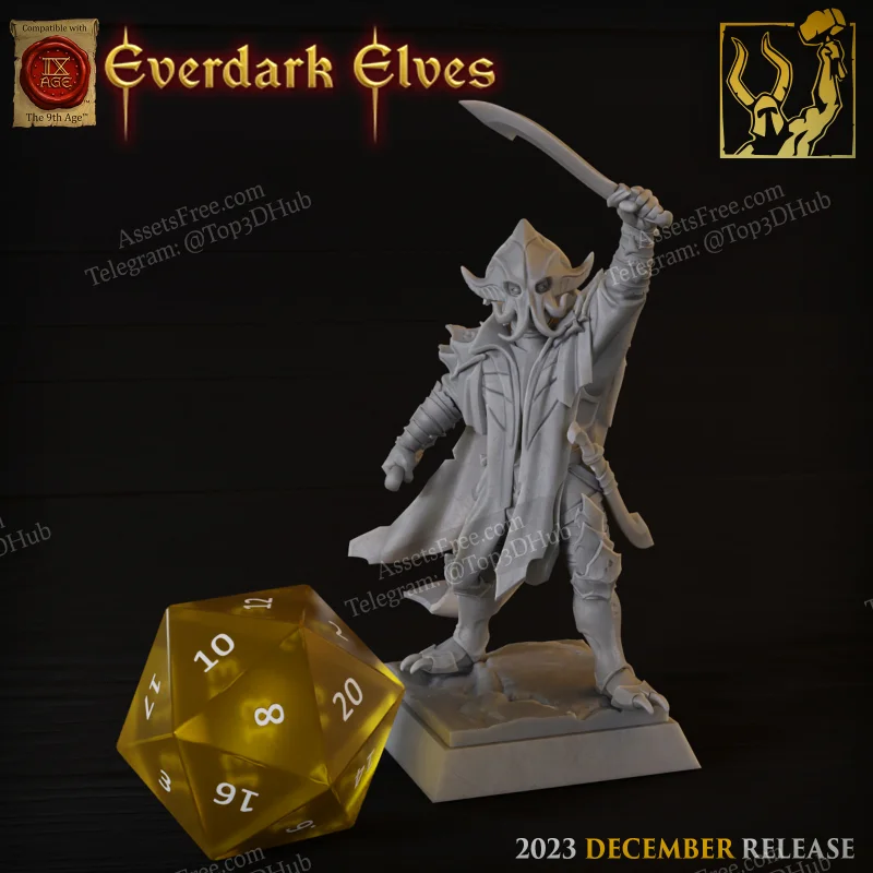 Everdark Elves - Black Ark Corsairs Champion