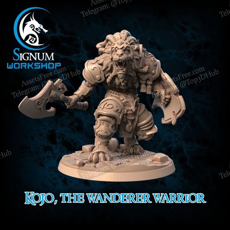 Kojo the wanderer warrior