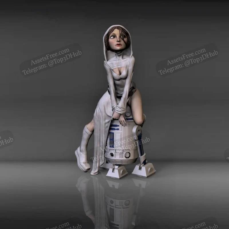 Star Wars R2-D2 with Leia princess