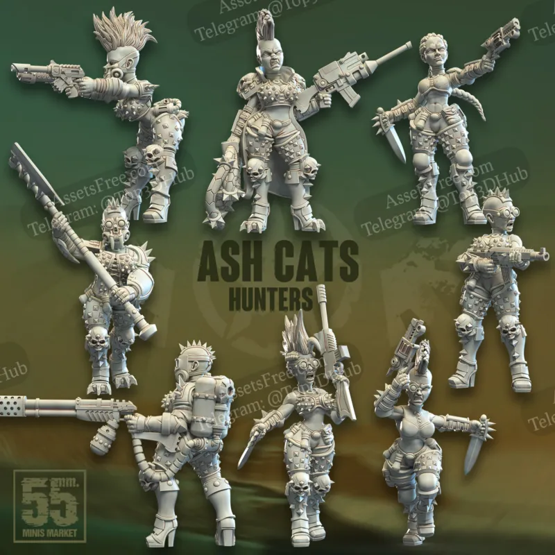 Ash Cats Hunters - January 2024