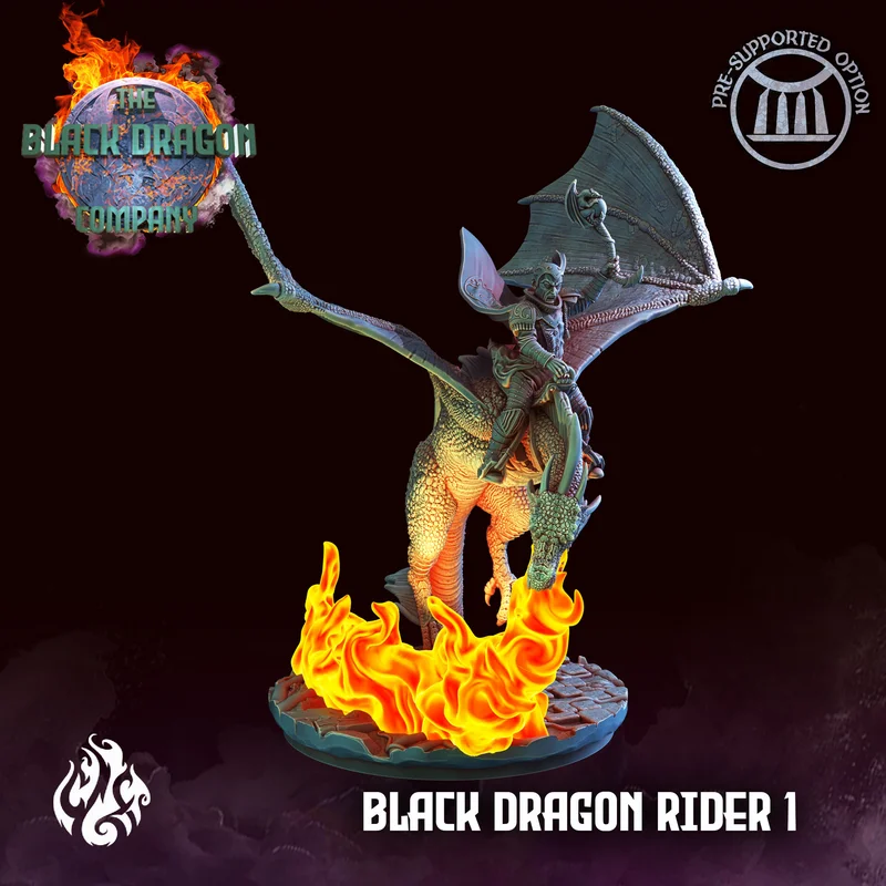 Black Dragon - Rider