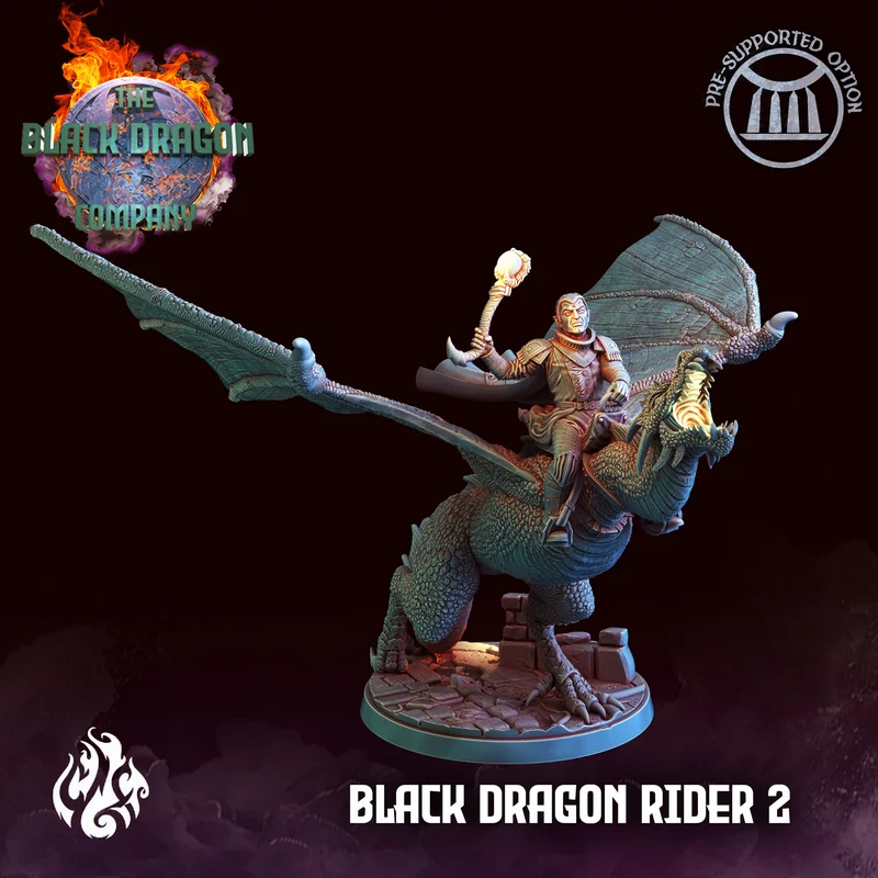 Black Dragon - Rider