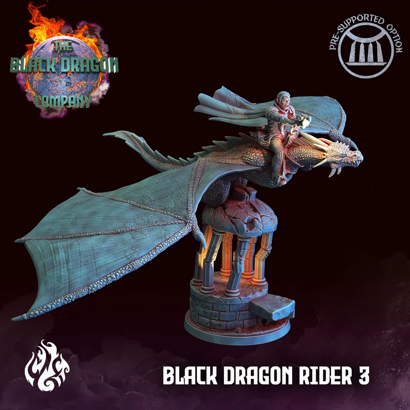 Black Dragon - Rider