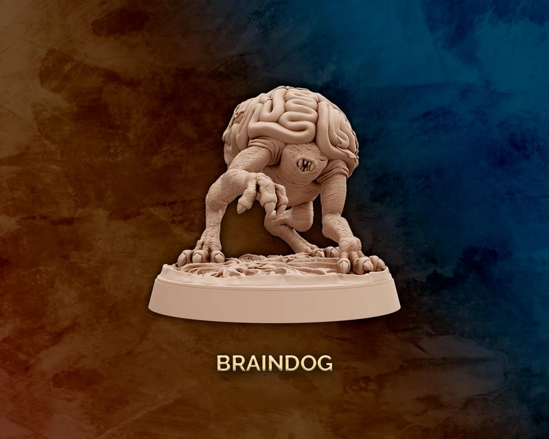 Braindog