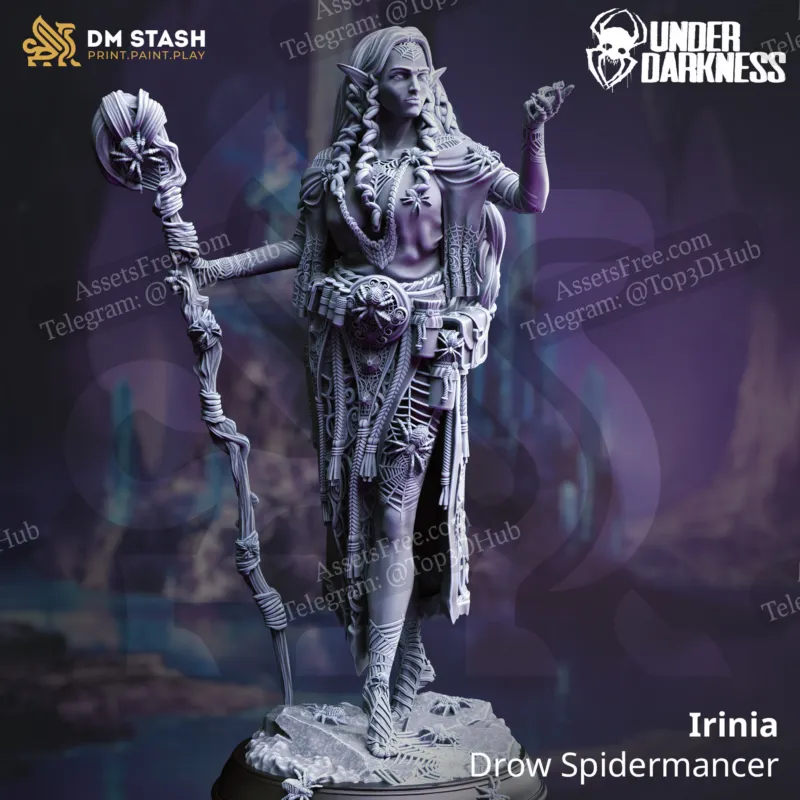 Irinia - Drow Spidermancer