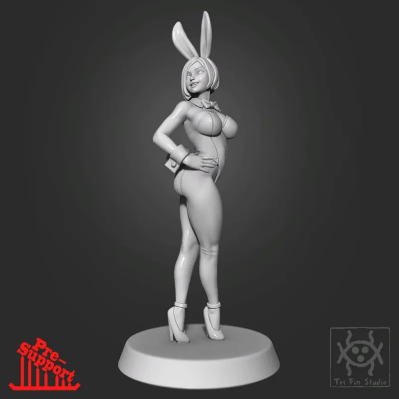 Pin-up bunnygirl