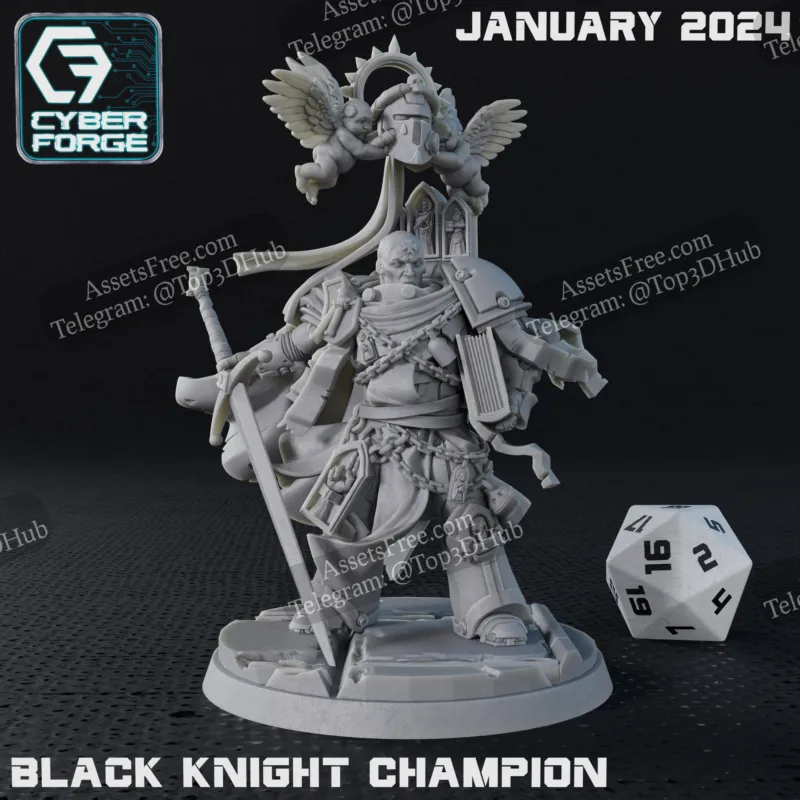 Black Knight Champion