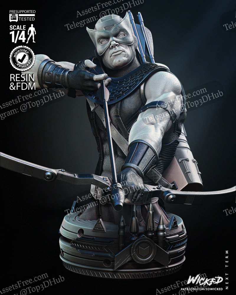 Hawkeye: The Marksman's Resolve Bust