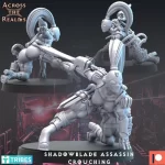 Shadowblade Assassin Crouching