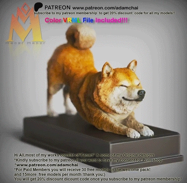 Shiba-Inu-Stretching