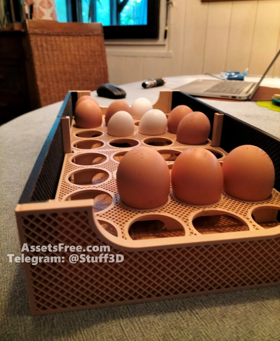 Egg drawer