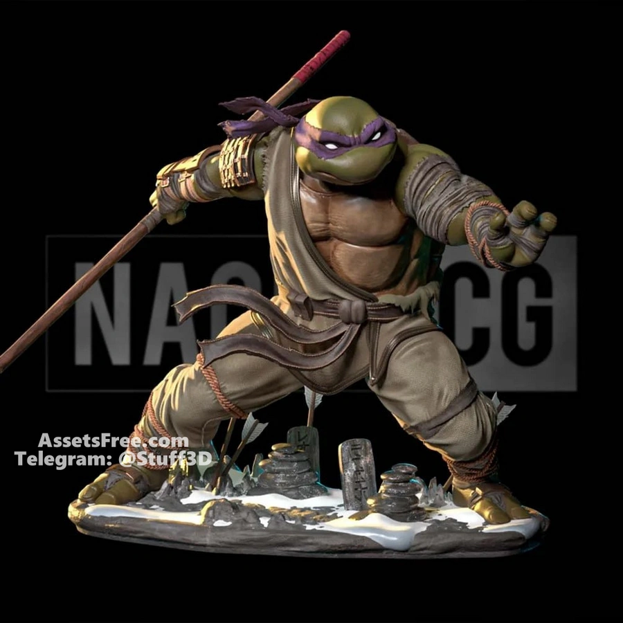 Donnie from TMNT - Last Ronin