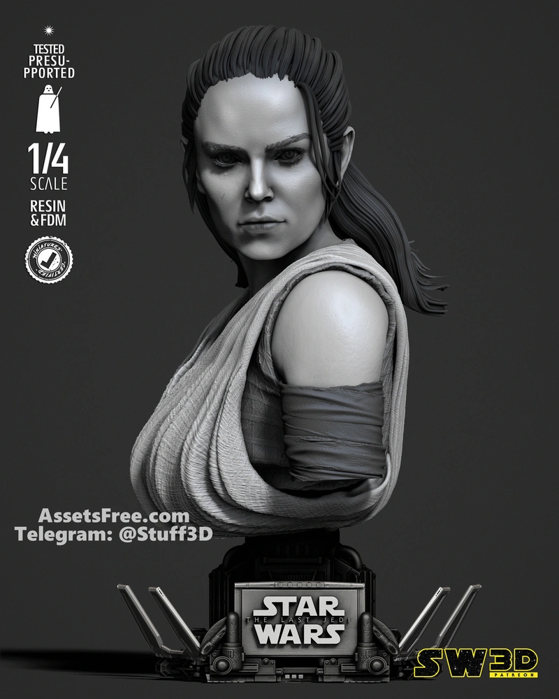 SW3D - Rey Portrait Bust