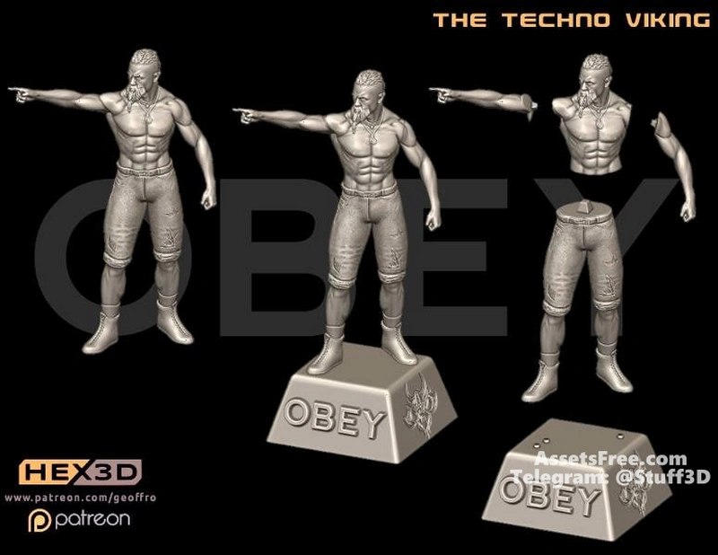 The Techno Viking