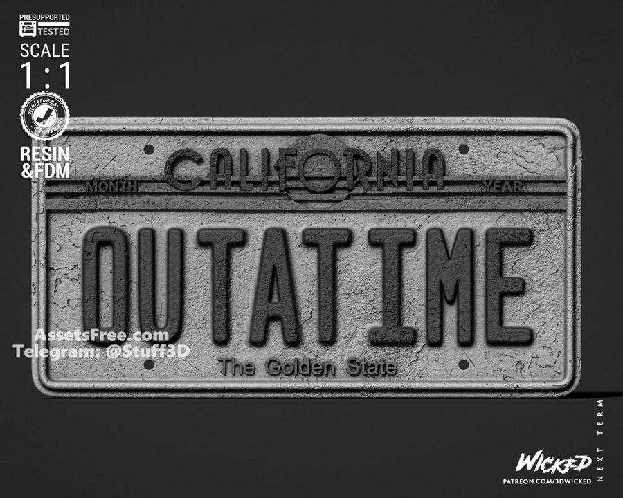 Back To The Future License Plate With Logo