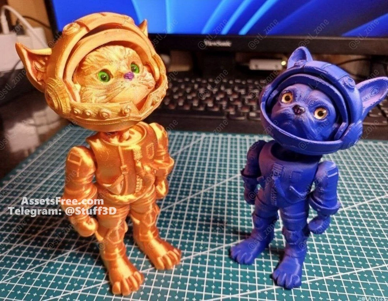 Cat astronaut