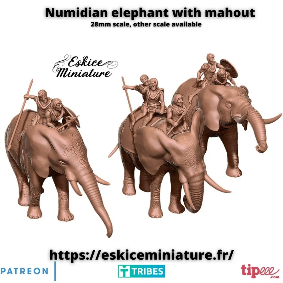 August 2024 - Numidian elephant with mahout