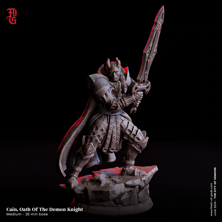 Hero - Cain, Oath Of The Demon Knight v1 (Medium - 25 mm)