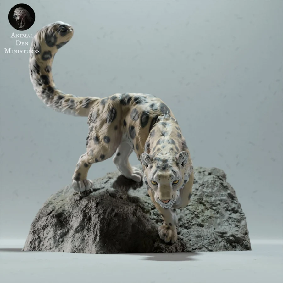 Snow Leopard on a Boulder