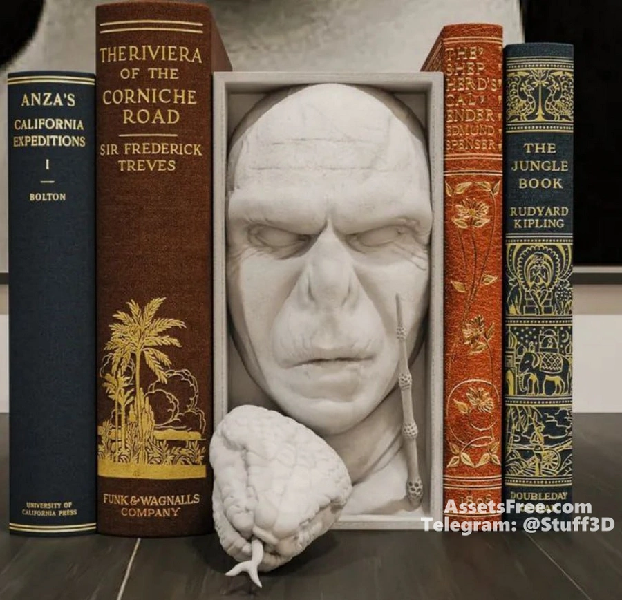 Voldemort Book Nook