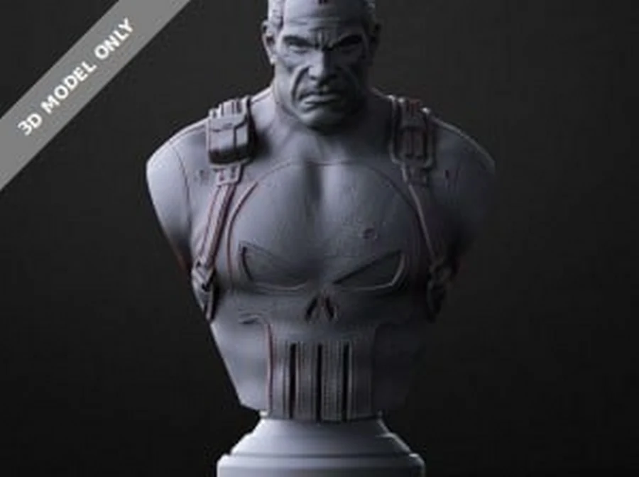 The punisher bust