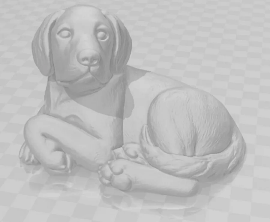 Puppy