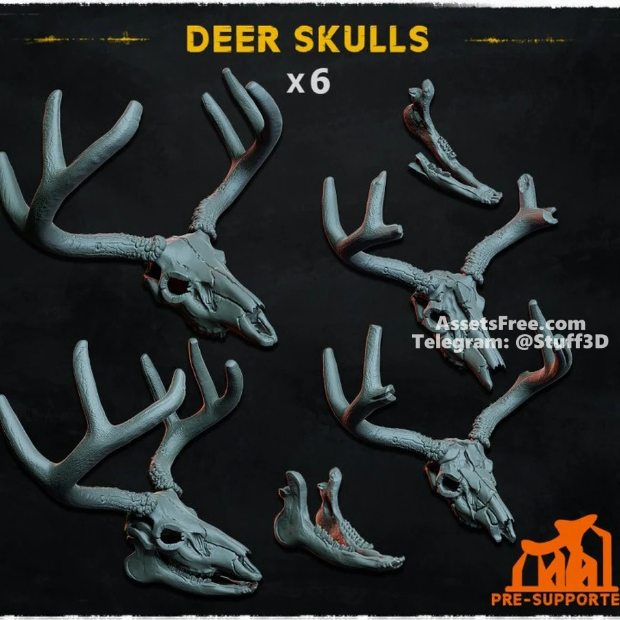 Deer Skulls